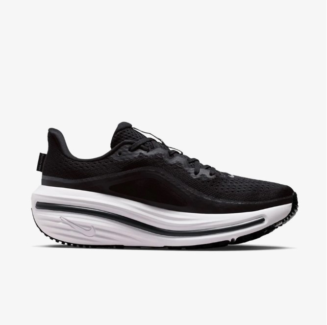 Жіночі кросівки Nike W Air Winflo 12 HV9273-002