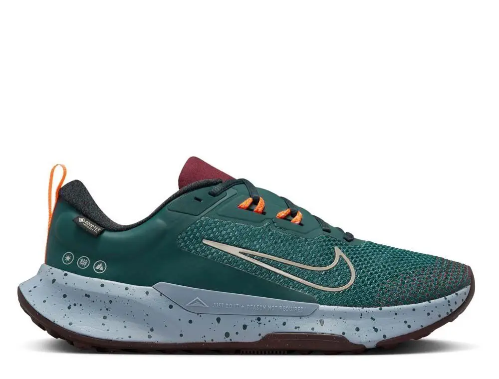 Чоловічі кросівки Nike Juniper Trail 2 GTX FB2067-300