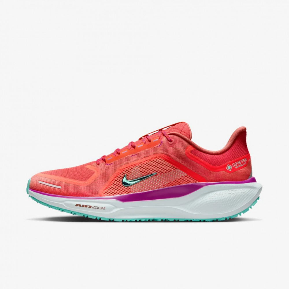 Чоловічі кросівки Nike Pegasus 41 Gore Tex HM8872-600