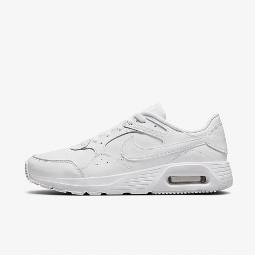 Чоловічі кросівки Nike Air Max SC Lea DH9636-101