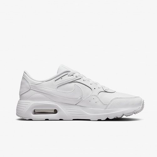 Чоловічі кросівки Nike Air Max SC Lea DH9636-101
