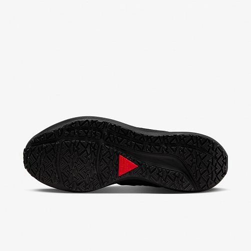 Кроссовки Nike Air Zoom Pegasus 39 Shield Do7626-001_image_5