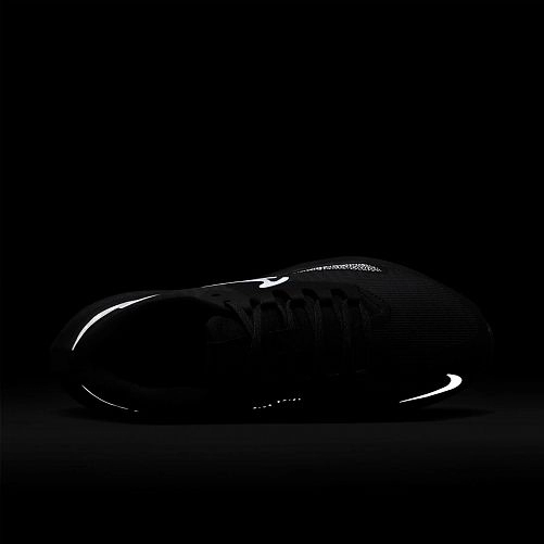 Кроссовки Nike Air Zoom Pegasus 39 Shield Do7626-001_image_6