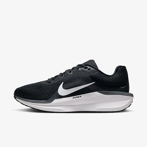 Кросівки Nike Air Winflo 11 FJ9510-001